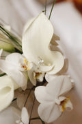 Signature Ceremony Services