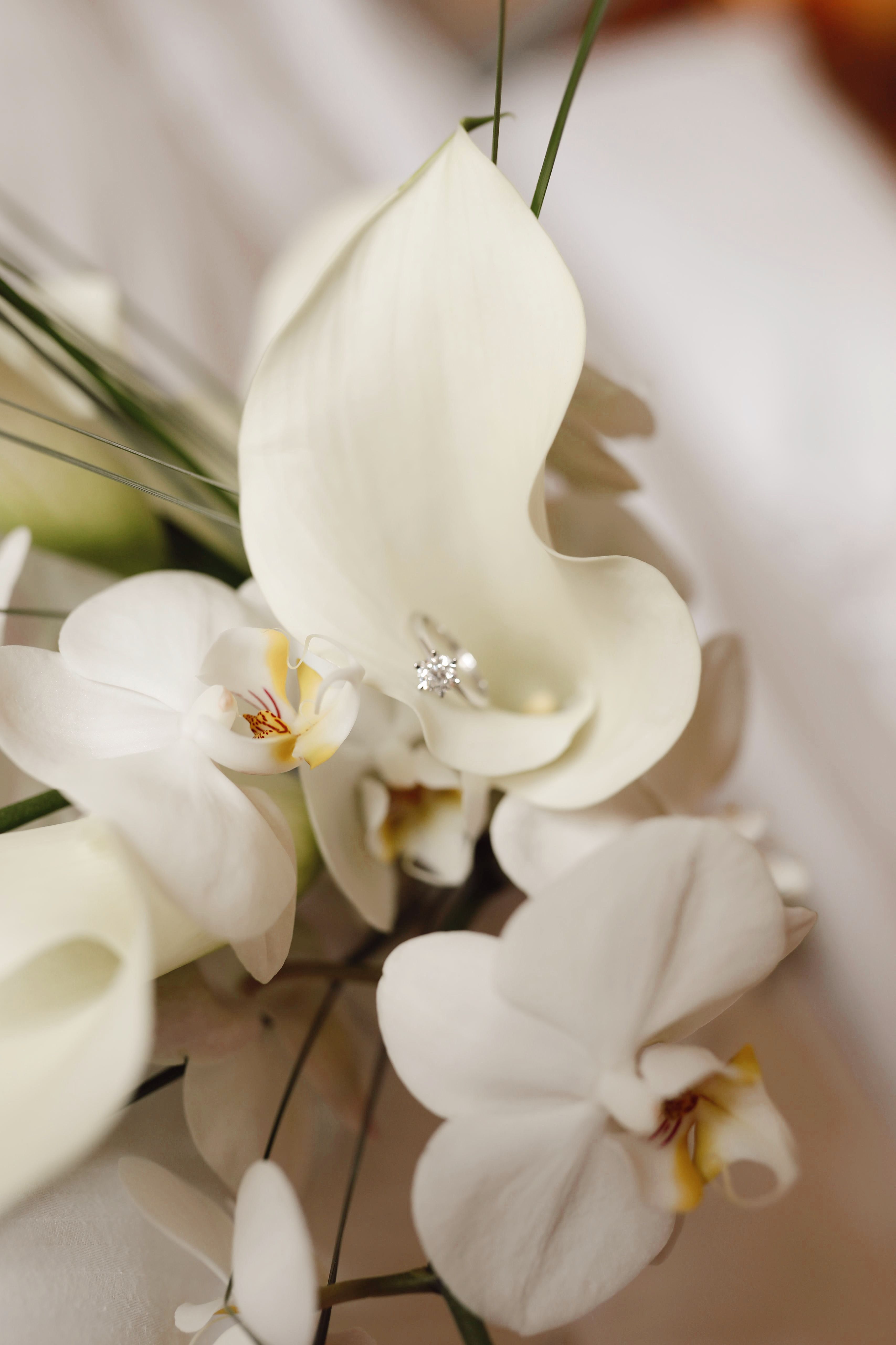 Signature Ceremony Services